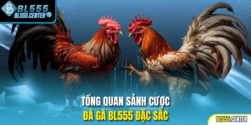 Tổng quan sảnh cược đá gà BL555 đặc sắc